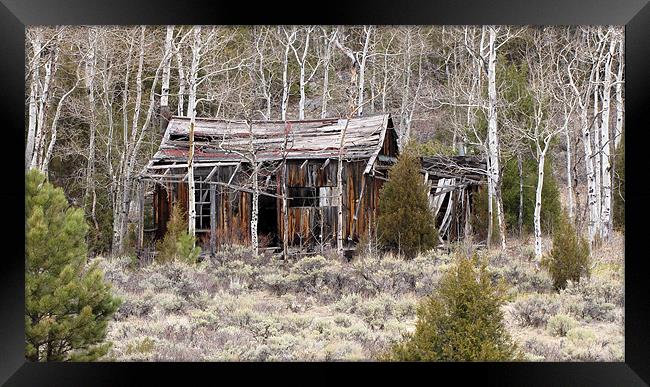 Nobody home 1410 Framed Print by Don Brady