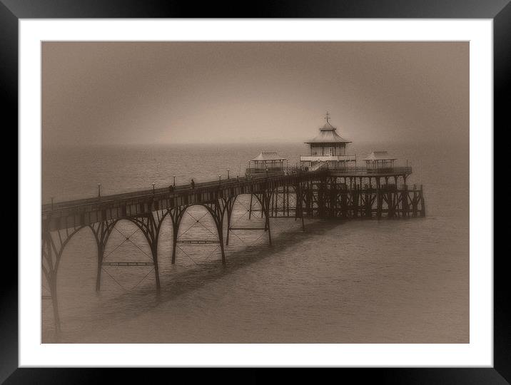 Clevedon pier Framed Mounted Print by Carl Shellis