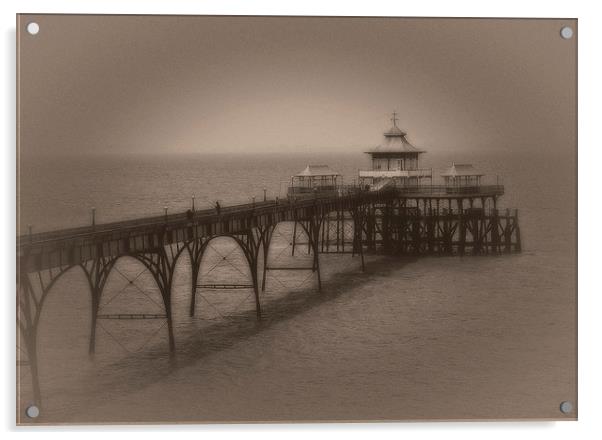 Clevedon pier Acrylic by Carl Shellis