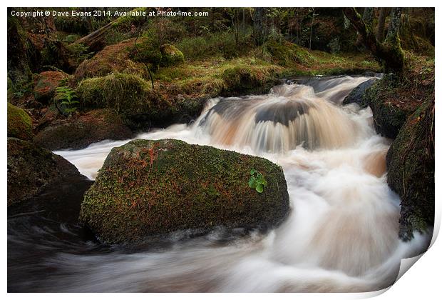 Wyming Brook Print by Dave Evans