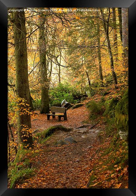 Serenity in Autumn Framed Print by Tommy Dickson