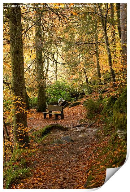 Serenity in Autumn Print by Tommy Dickson