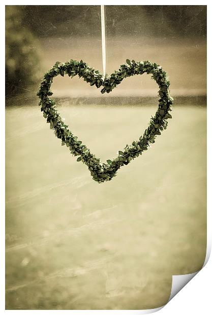 Heart made of Leaves Print by Dan Fisher