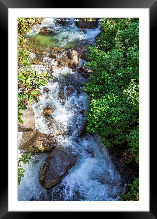 river rapids Framed Mounted Print by Craig Lapsley