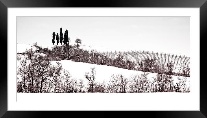 The cypresses Framed Mounted Print by Guido Parmiggiani