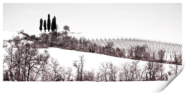 The cypresses Print by Guido Parmiggiani