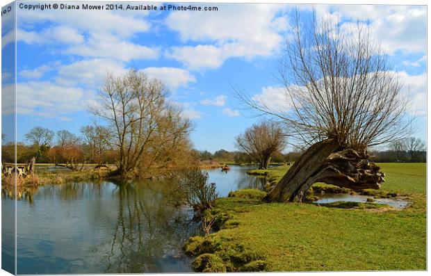 River Stour Dedham and Flatford Canvas Print by Diana Mower