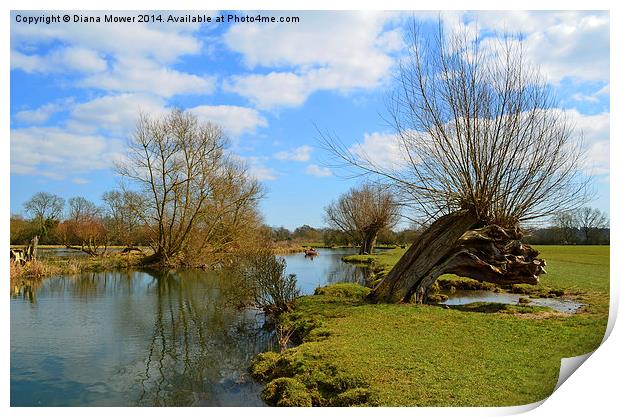 River Stour Dedham and Flatford Print by Diana Mower