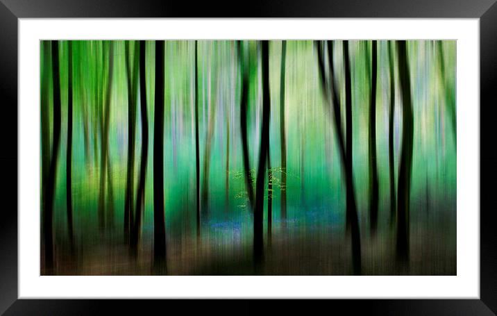 Colour of the Spring Woods Framed Mounted Print by Ceri Jones