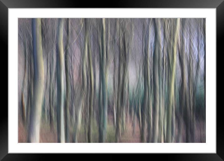 Colour of the Winter Woods Framed Mounted Print by Ceri Jones