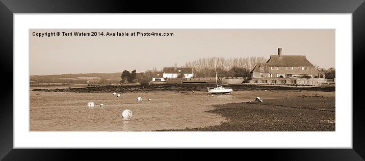 Bosham Harbour And South Downs In Sepia Framed Mounted Print by Terri Waters