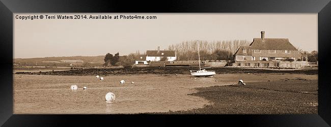 Bosham Harbour And South Downs In Sepia Framed Print by Terri Waters