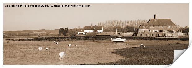 Bosham Harbour And South Downs In Sepia Print by Terri Waters