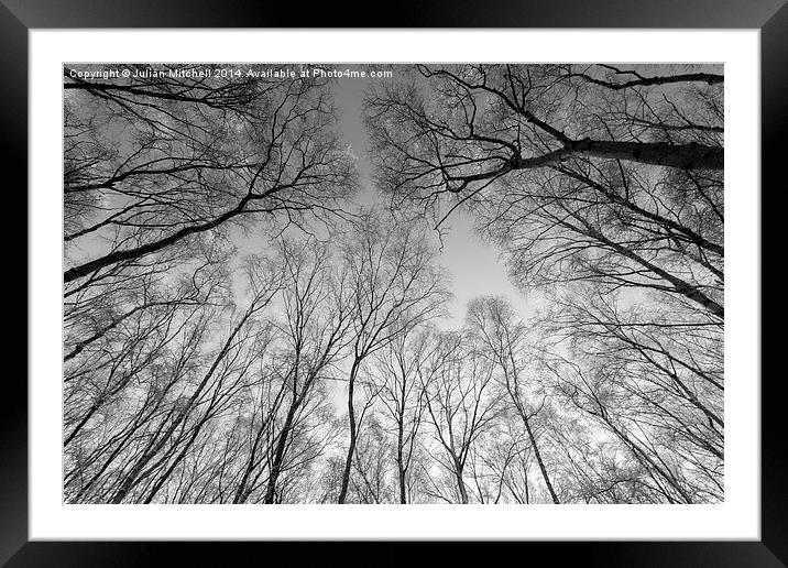 Reaching Framed Mounted Print by Julian Mitchell