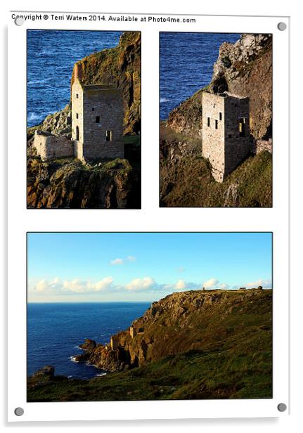 Botallack Crowns Acrylic by Terri Waters