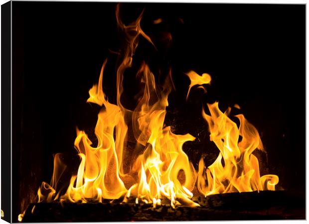 fireplace  ablaze Canvas Print by Eric Fouwels