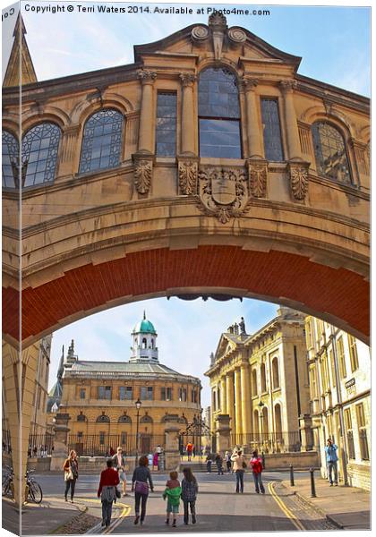 Classic Oxford Canvas Print by Terri Waters