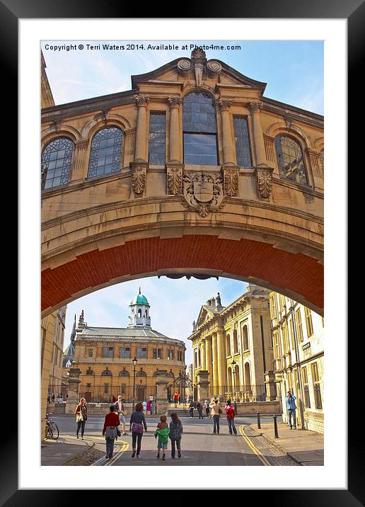 Classic Oxford Framed Mounted Print by Terri Waters