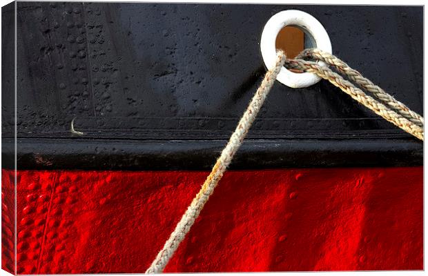 Red and Black Canvas Print by Tim Bell
