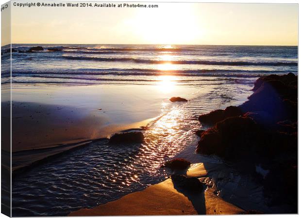 Sunrise Shore Canvas Print by Annabelle Ward