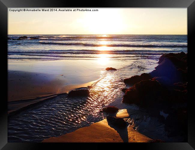 Sunrise Shore Framed Print by Annabelle Ward