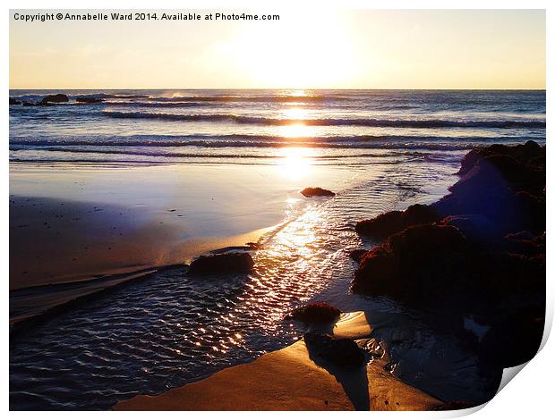 Sunrise Shore Print by Annabelle Ward