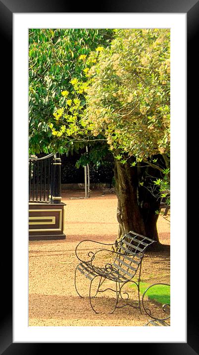 The delicate bench Framed Mounted Print by Bill Lighterness