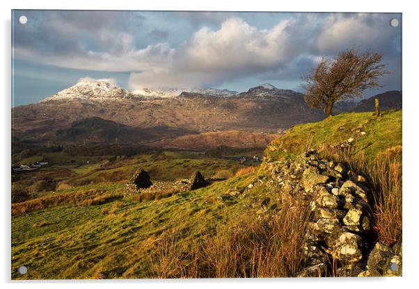 Snow on the Moelwyn Acrylic by Rory Trappe