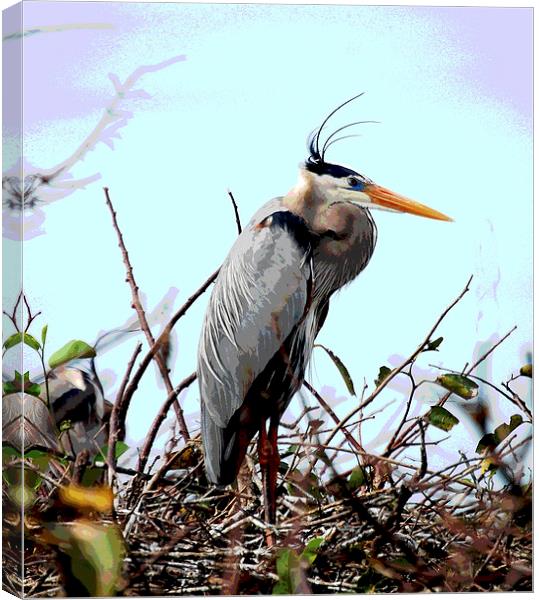 Standing Tall Canvas Print by james balzano, jr.