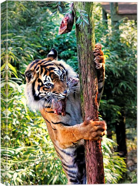 Tiger Feeding time Canvas Print by Joanne Wilde