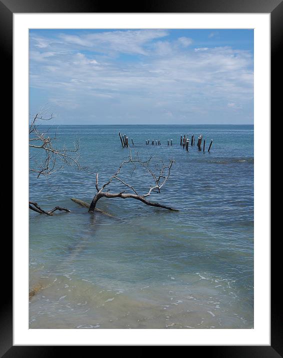 Caribbean Sea Framed Mounted Print by Laura Kenny