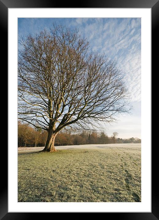 Winter morning light Framed Mounted Print by Stephen Wakefield