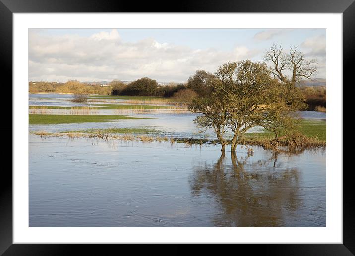 Floods at Fiddleford Framed Mounted Print by Paul Brewer