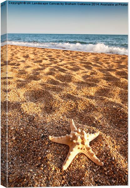 Starfish on the Beach Canvas Print by Graham Custance