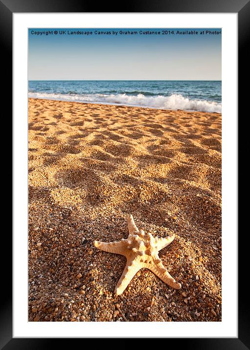 Starfish on the Beach Framed Mounted Print by Graham Custance