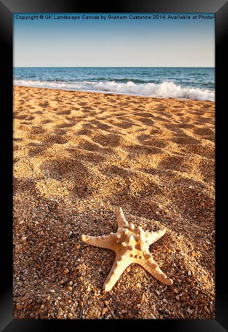 Starfish on the Beach Framed Print by Graham Custance