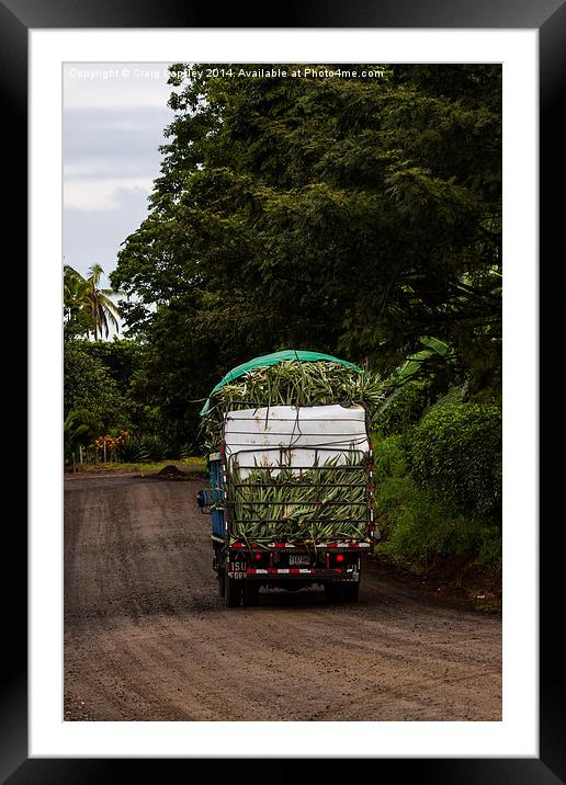 pineapples on their way to market Framed Mounted Print by Craig Lapsley