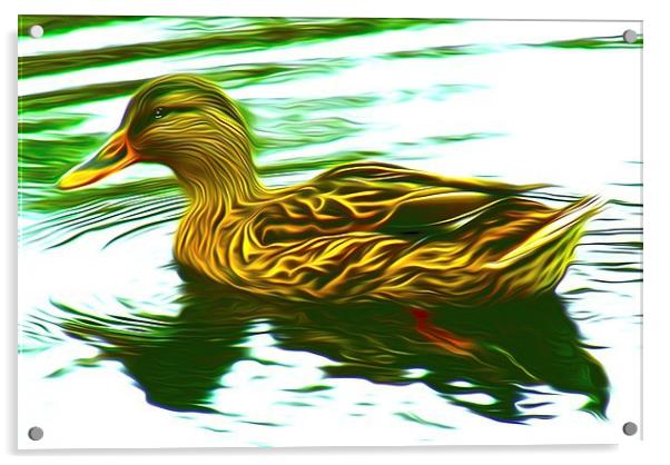 Lady Duck (Digital Art) Acrylic by John Wain