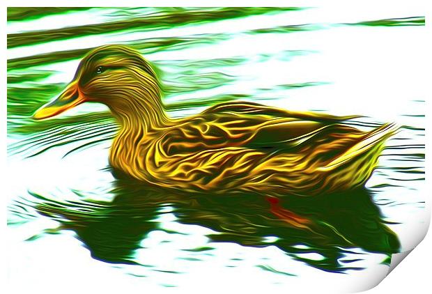 Lady Duck (Digital Art) Print by John Wain