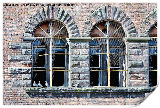 Old windows on a pigeon’s dockland property. Print by Frank Irwin