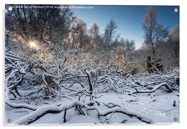 Snowy Woods Acrylic by Julian Mitchell