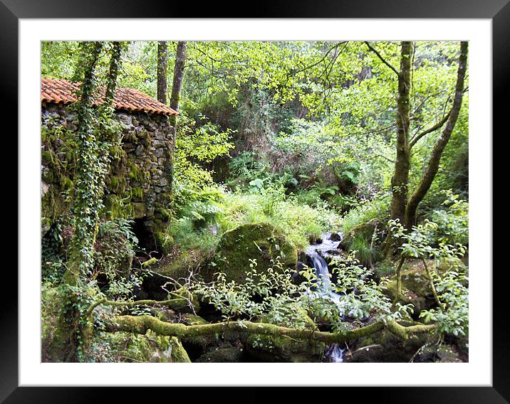 Little Waterfall Framed Mounted Print by Luis Lajas