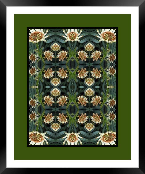flower grid Framed Mounted Print by Heather Newton