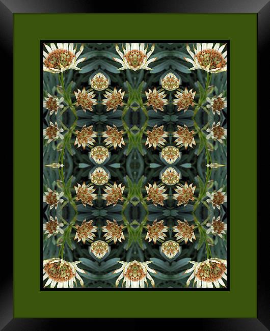 flower grid Framed Print by Heather Newton