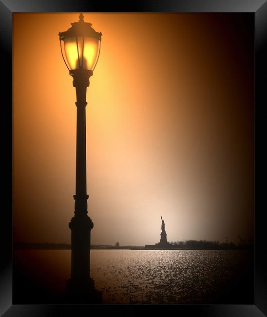 Shine Light on Liberty Framed Print by Terry Lee