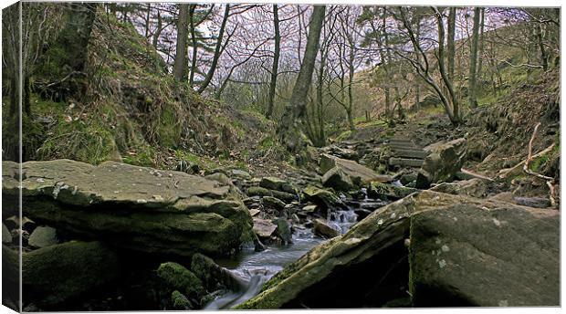 The Quiet Stream Canvas Print by Darren Smith