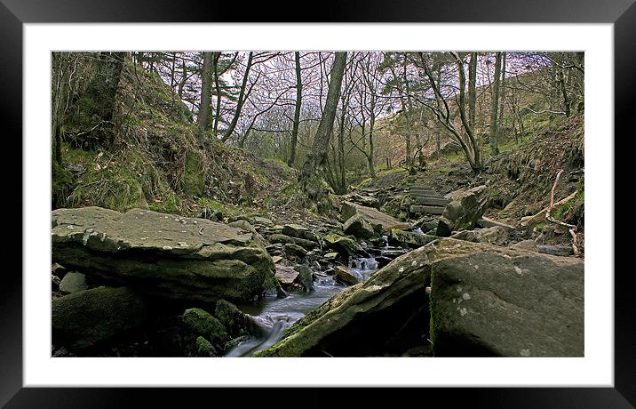 The Quiet Stream Framed Mounted Print by Darren Smith