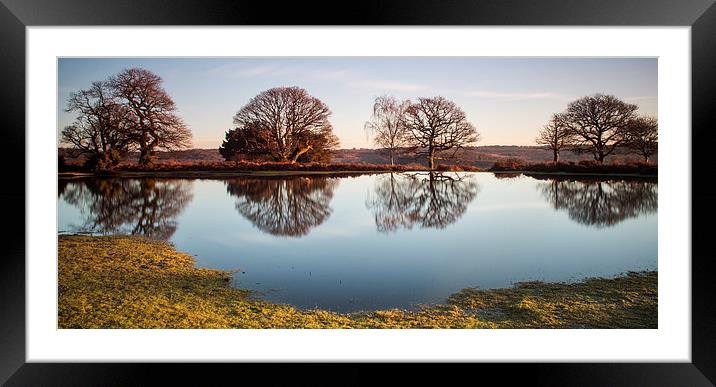 New Forest Pond Framed Mounted Print by Phil Wareham