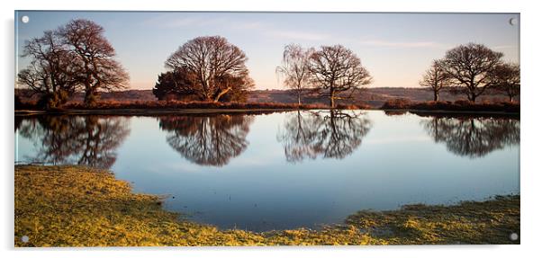 New Forest Pond Acrylic by Phil Wareham