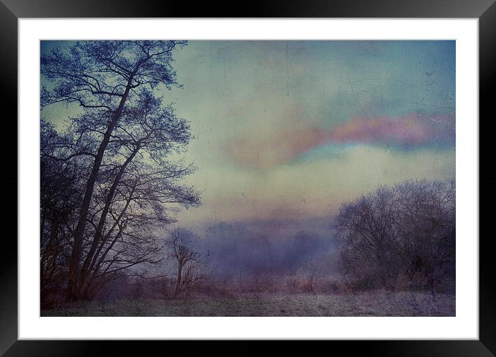 Mystic morning walk Framed Mounted Print by Dawn Cox